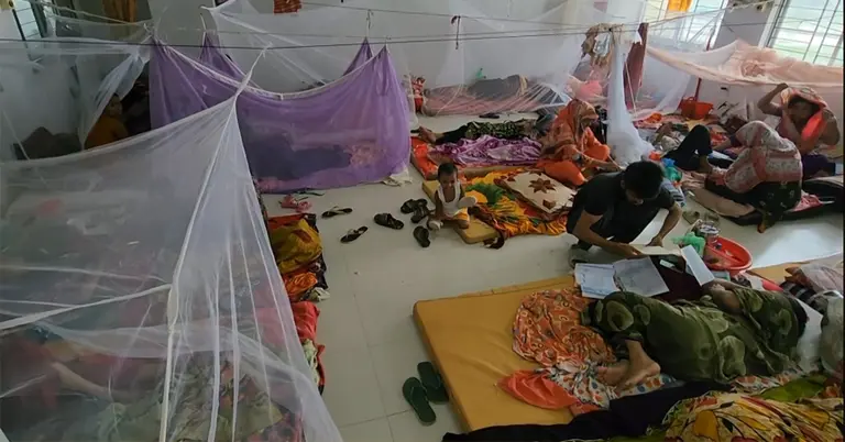 বরগুনায় হাসপাতালে বাড়ছে ডেঙ্গু রোগীর চাপ